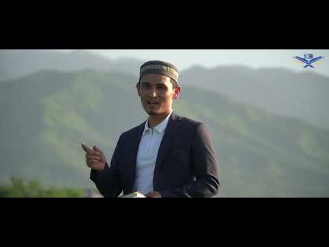 Видео: ҚИССА - ШЫБЫН НЕ ҮШІН ЖАРАТЫЛДЫ?