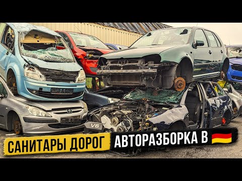 Видео: Авторазборка в Германии или санитары немецких дорог