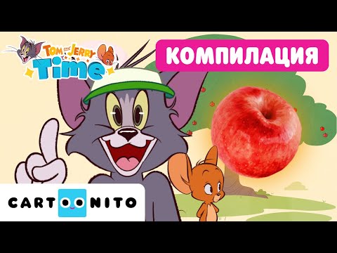 Видео: Брой с Том! 🍎🧮 | Компилация | Учим с Том и Джери | Време за Том и Джери е | Cartoonito