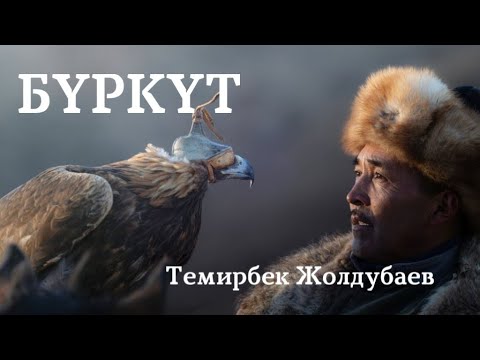 Видео: Темирбек Жолдубаев | Бүркүт | аудио китеп | аңгеме