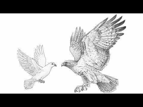 Видео: Романс Полины - "Голубка и сокол". OST Мюзикл "Дама Пик".