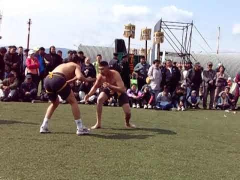 Видео: Республика Бурятия иволгинск Районный Наадан Сурхарбан 2024 ч.8.12.06.2024