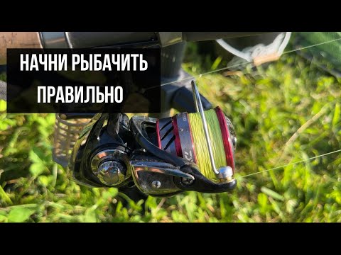 Видео: ФИДЕР С НУЛЯ! Прикормка, снасти, монтажи, аксессуары - все для успешной рыбалки!
