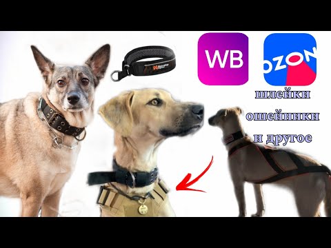 Видео: ПРОВЕРЕННАЯ АМУНИЦИЯ С WILDBERRIES/OZON | обзор с нашими отзывами