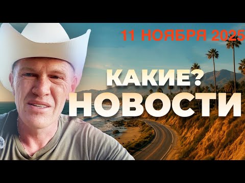 Видео: КАКИЕ НОВОСТИ? | 11 ноября 2025 года
