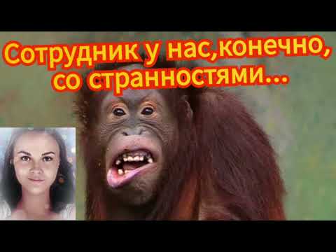 Видео: Мошенник обиделся на правду и спрятался под юбку