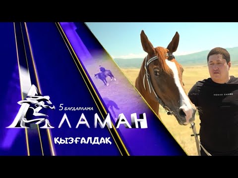 Видео: «Аламан». 5 бағдарлама. Қызғалдақ