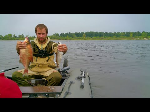 Видео: Хорошие лещи и чехони на подпуск и кольцо.Рыбалка на Волге в Великом враге.