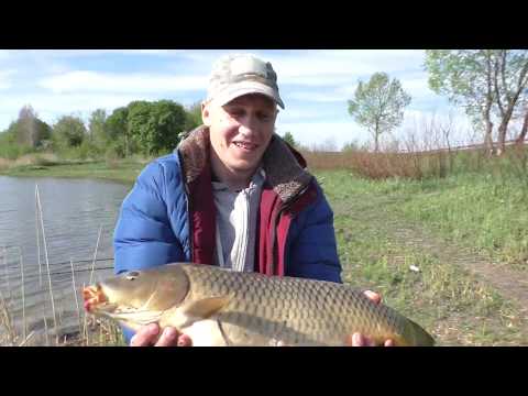 Видео: ПОЙМАЛИ ТРОФЕЙНОГО КАРПА!Бесплатный водоем работает?