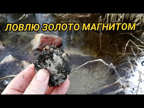 Видео: ДОБЫВАЮ ЗОЛОТО С ПОМОЩЬЮ МАГНИТА...