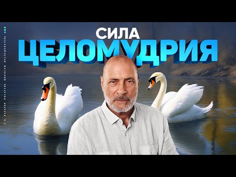 Видео: О великой важности ЦЕЛОМУДРИЯ