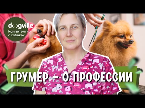 Видео: Грумер - О профессии