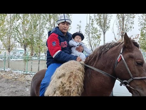 Видео: Кара-Кулжа, Октябрь айылы, Бексултандын улагы🔥🇰🇬