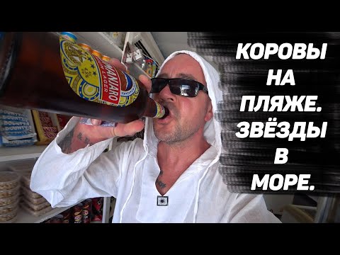 Видео: Уличная еда. Занзибар. Нунгви декабрь 2020