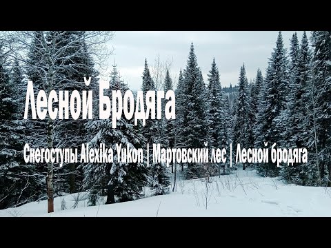 Видео: Снегоступы Alexika Yukon | Мартовский лес | Лесной Бродяга