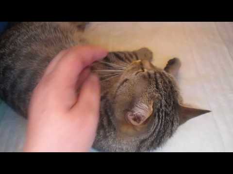 Видео: Первые Дашкины роды