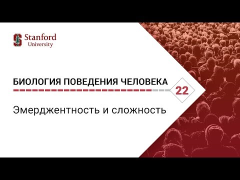 Видео: Биология поведения человека: Лекция #22. Эмерджентность и сложность [Роберт Сапольски. Стэнфорд]