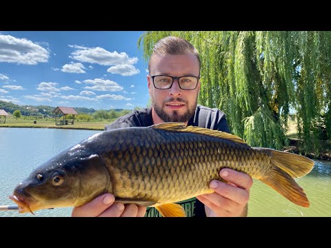Видео: Этот карп пьян на 100%. Рецепт рыбы