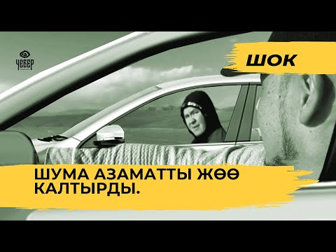 Видео: ШУМА АЗАМАТТЫ ЖӨӨ КАЛТЫРДЫ! 😂😳