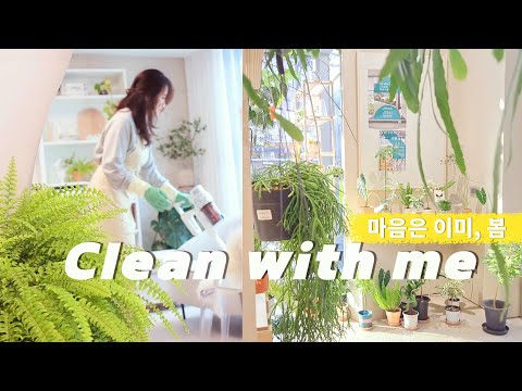 Видео: Как сохранить простоту взгляда и мышления для поддержания порядка в доме