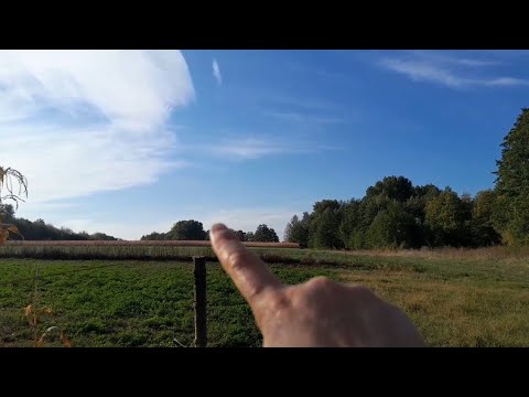 Видео: Перевірили кукурудзу,чи ніхто не вкрав))))Спогадами життя...