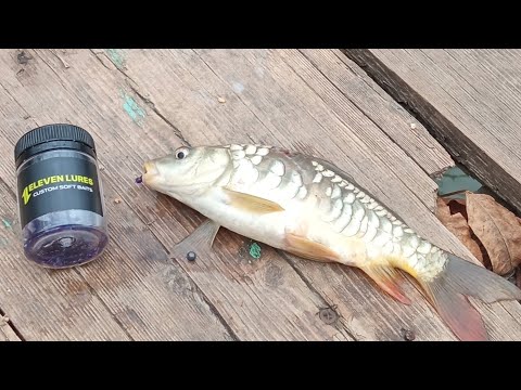 Видео: МОРМЫШИНГ: Снова Chikki творит чудеса, поймал сазана и карпа!!!!!!