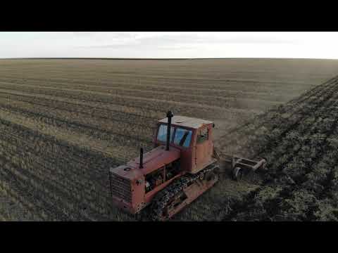 Видео: Трактор Т-4А (Алтай) Пашет