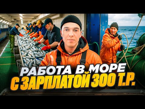 Видео: Работа в море матросом с зарплатой в 300 тысяч рублей в месяц! 