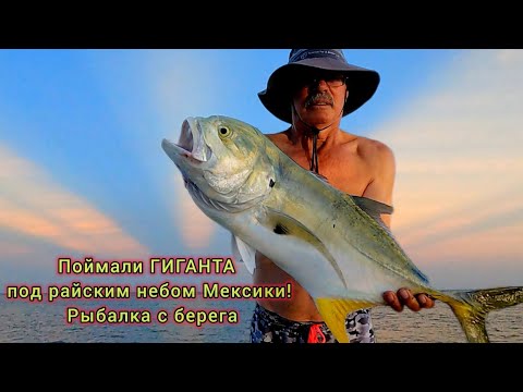 Видео: Поймали ГИГАНТА под райским небом Мексики! Рыбалка с берега