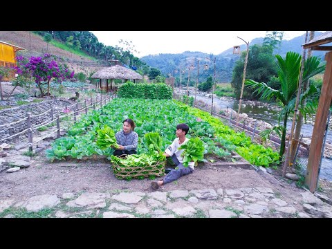 Видео: Органический огород! От рассады овощей до сбора урожая и выхода на рынок, устойчивое развитие