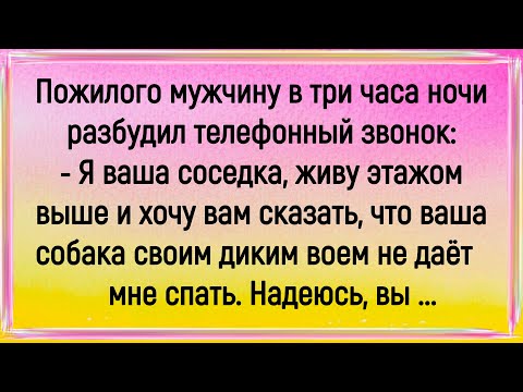 Видео: 🐔Как Мужика В Три Часа Ночи Разбудил Телефон! Сборник Смешных Анекдотов! Юмор! Позитив!