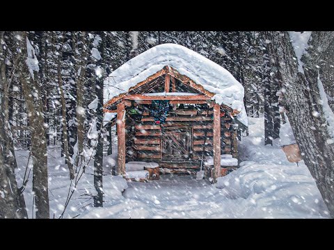 Видео: ЗАНОЧЕВАЛ в СТАРОЙ МЫШИНОЙ ИЗБЕ с РЫЖИМ ЗВЕРЕМ | НАХОДКА в ЛЕСУ - ТАЙГА ШУМИТ