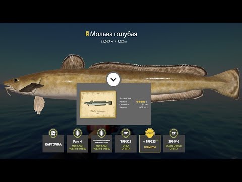 Видео: 📢СТРИМ РР4🔥ПРОКАТИМСЯ ПО НОРВЕЖСКОМУ МОРЮ С УТРА ПОРАНЬШЕ🔥РУССКАЯ РЫБАЛКА 4