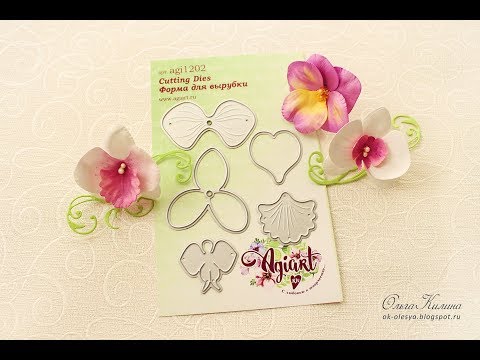 Видео: МК "Орхидеи и фиалки"