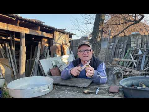 Видео: Мидии,это вкусно и полезно д..#отдых #рыбалка #красотадуши #счастье #праздник #мидии #природа #река 