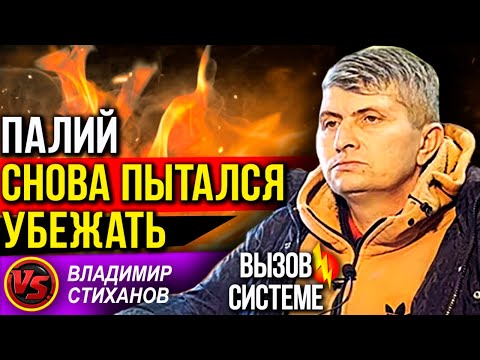Видео: Палий снова пытался убежать...