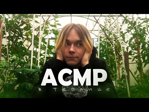 Видео: АСМР в Теплице / Уютная Болталка АСМР