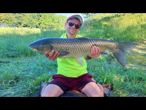 Видео: Этот Амур дал жару и бросил дрожь в колени