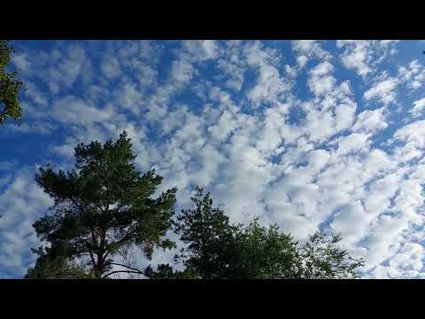 Видео: Зинаида Миркина .  Верится , и мысль моя легка.