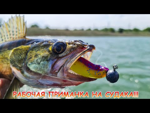 Видео: РАБОЧАЯ приманка на СУДАКА!!!  Ловила только ОНА!