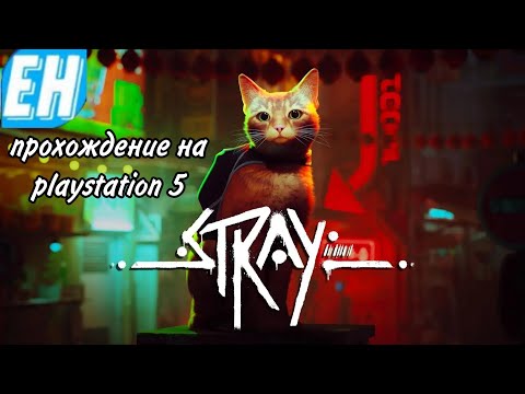 Видео: Прохождение игры Stray часть 1