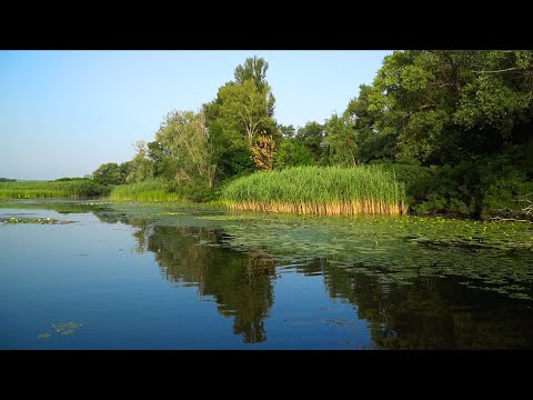Видео: Ловля ЩУКИ жарким ЛЕТОМ!!! Приманки на щуку!