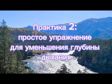 Видео:  Практика по методу Бутейко #методбутейко #дыхание 