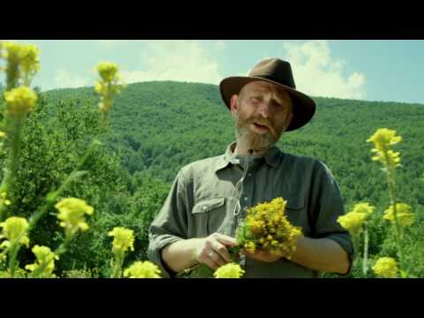 Видео: Истражи ја Македонија - Брајчино HD.mov