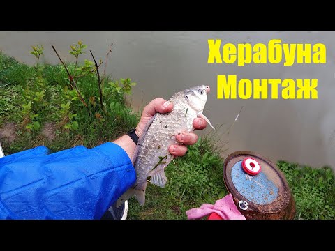 Видео: Монтаж Херабуна | Оснастка Херабуна | Метод Херабуна | Herabuna Fishing | 钓鱼中国方法
