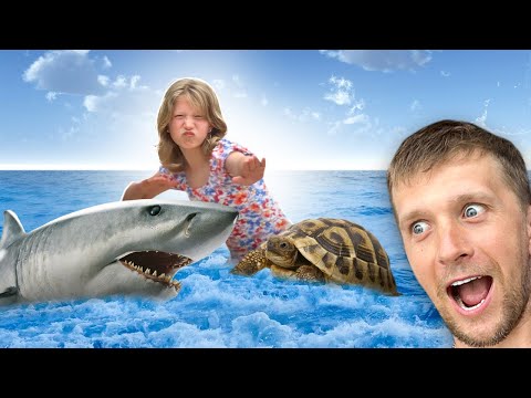 Видео: КУПАЕМСЯ С ЧЕРЕПАХОЙ ИЛИ АКУЛОЙ!!!! ШОК!!!