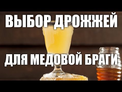 Видео: Выбор дрожжей для медовой браги.