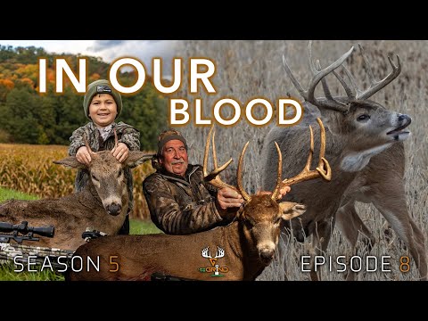 Видео: S5E8 В нашей крови