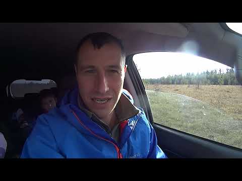 Видео: грибы саратов 2021