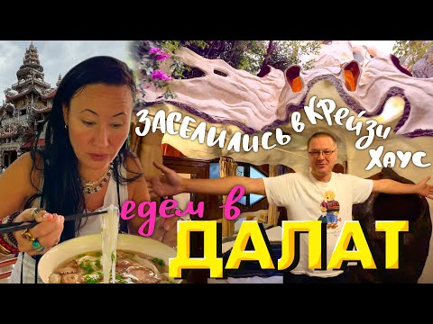 Видео: Вьетнам 2025. Едем из Нячанга в Далат без Экскурсии. Обзор Нашего Номера в Crazy House. Ночной Рынок